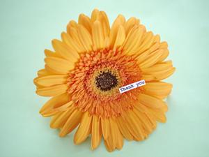 マイスターの作るソーセージのお店