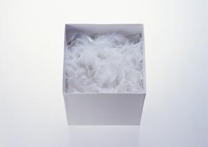 良質なドッグフードを購入しよう